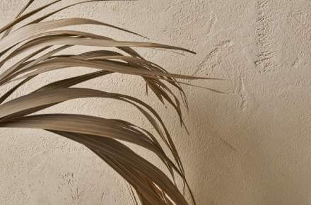 Arte, pittura e calce: connessione storica