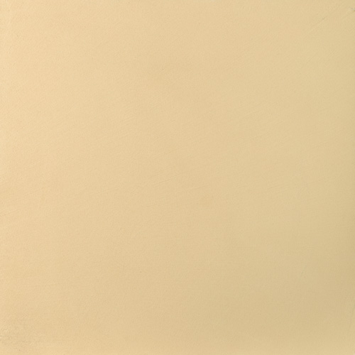 SO-Y171 - IVORY 10g • NEW